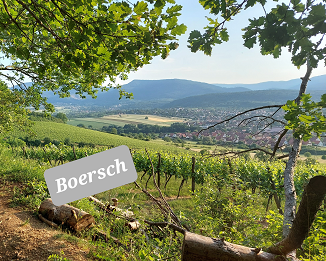 paysage boersch