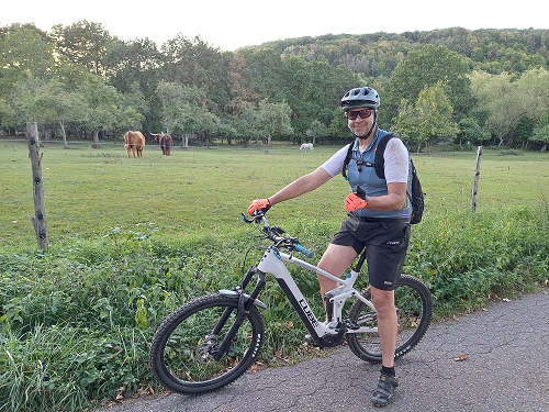 vtt cube et animaux